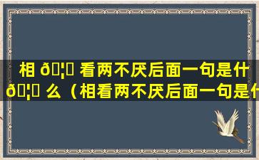 相 🦁 看两不厌后面一句是什 🦅 么（相看两不厌后面一句是什么字什么）